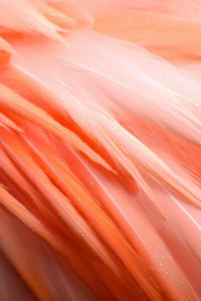 katie-gerrard-JsyUn7bpOyw-unsplash katie-gerrard-JsyUn7bpOyw-unsplash